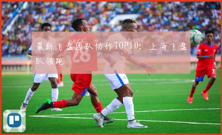 最新飞盘团队协作TOP10：上海飞盘队领跑