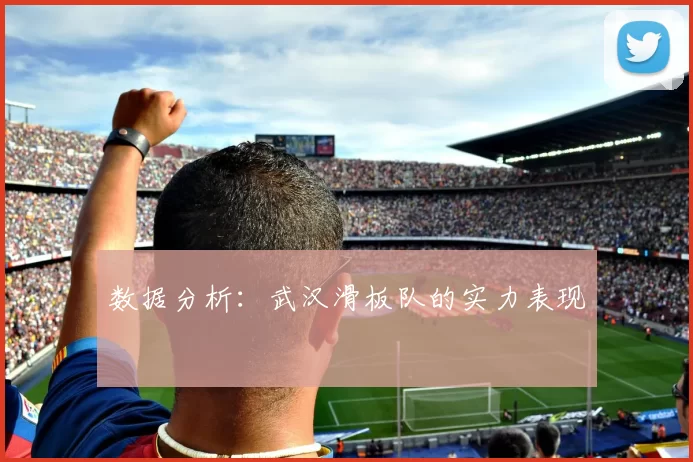 数据分析：武汉滑板队的实力表现