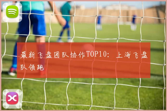 最新飞盘团队协作TOP10：上海飞盘队领跑