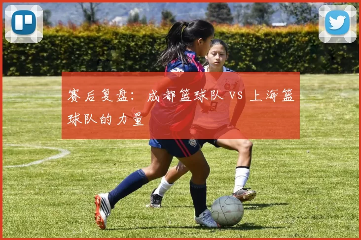 赛后复盘：成都篮球队 vs 上海篮球队的力量