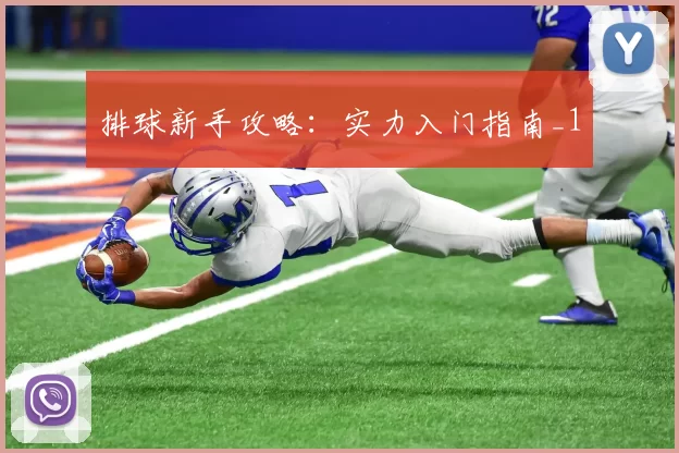 排球新手攻略：实力入门指南_1